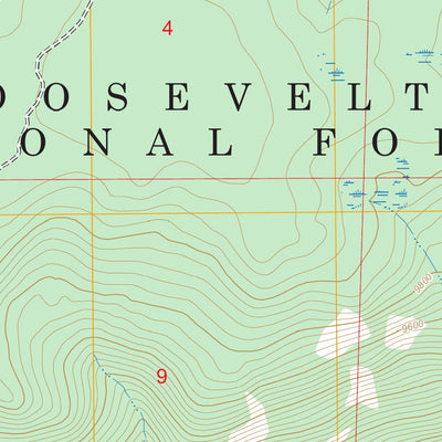 Boston Peak, CO FSTopo Preview 2