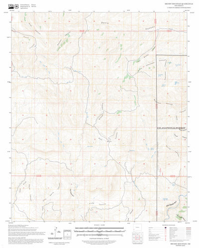 Brushy Mountain, NM FSTopo Preview 1