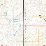 Brushy Mountain, NM FSTopo Preview 3