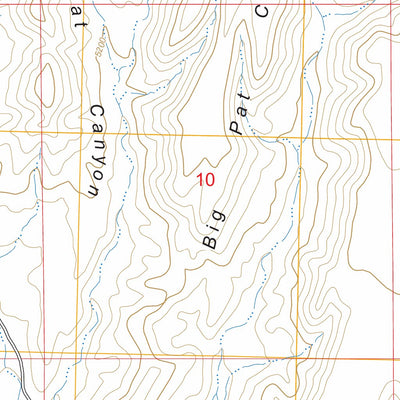 Buckhorn, NM FSTopo Preview 3
