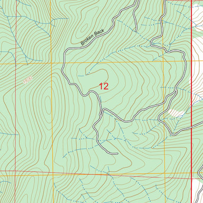 Brushy Bald Mountain, OR FSTopo Preview 2