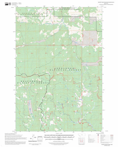 Burnt Mountain, MT FSTopo Preview 1