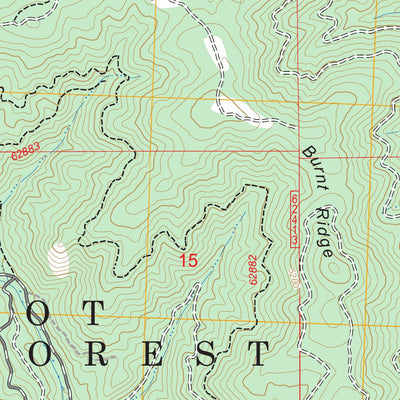 Burnt Ridge, MT FSTopo Preview 2
