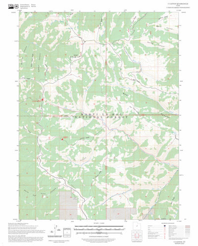 C Canyon, UT FSTopo Preview 1