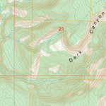 Calamity Mesa, CO FSTopo Preview 3