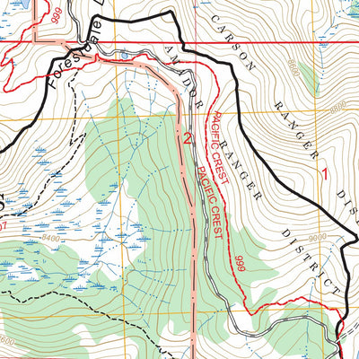 Carson Pass, CA FSTopo Preview 3