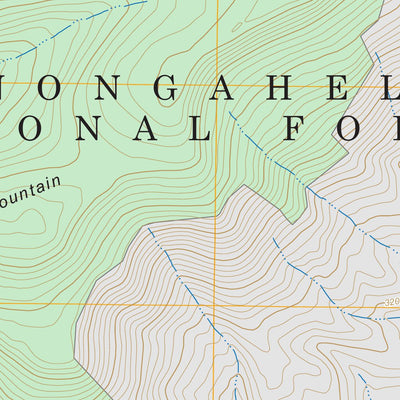 Cass, WV FSTopo Preview 2