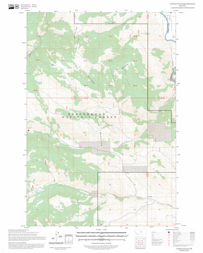 Cattle Gulch, MT FSTopo Preview 1