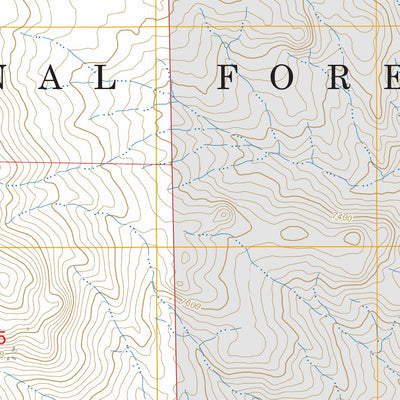 Cheesman Lake, CO FSTopo Preview 2