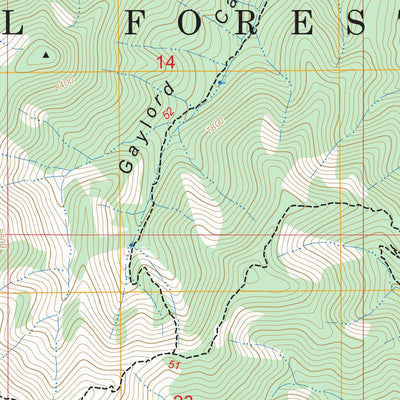 Church Mountain, NM FSTopo Preview 3