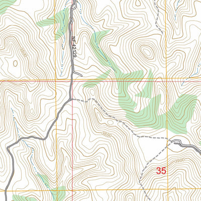 Coleman Draw, MT FSTopo Preview 3