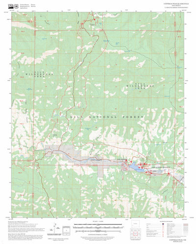 Copperas Peak, NM FSTopo Preview 1