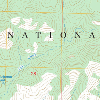 Copperas Peak, NM FSTopo Preview 2