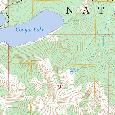 Cougar Lake, WA FSTopo Preview 2
