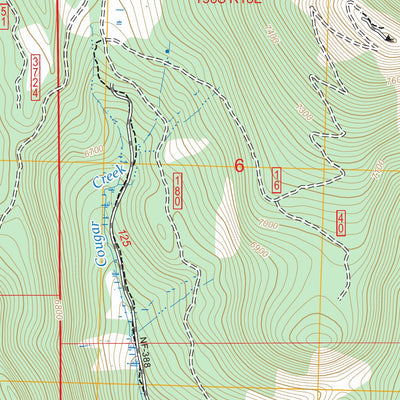 Cougar Peak, OR FSTopo Preview 3