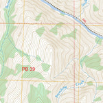 Dave Lewis Peak, ID FSTopo Preview 3