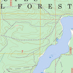 Davis Mountain, OR FSTopo Preview 2