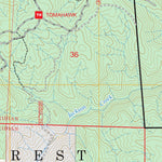 Devils Head, CO FSTopo Preview 2