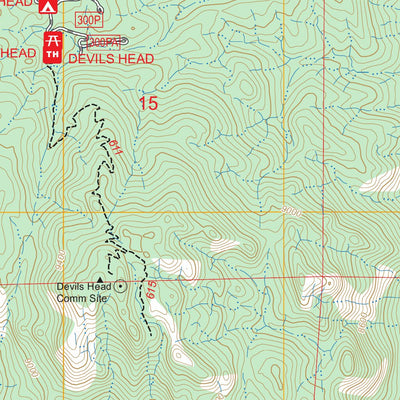 Devils Head, CO FSTopo Preview 3