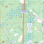Dewey Lake, MN FSTopo Preview 2