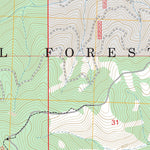 Diamond Point, MT FSTopo Preview 2