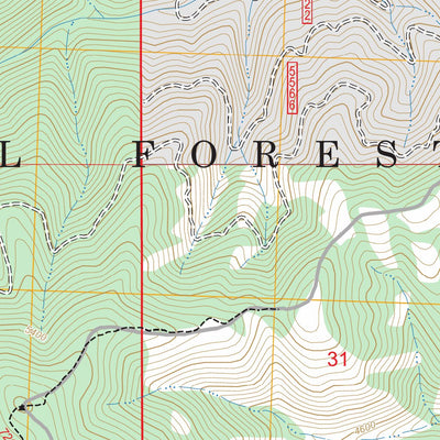 Diamond Point, MT FSTopo Preview 2