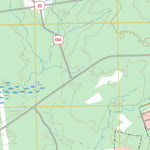 Diboll, TX FSTopo Preview 2