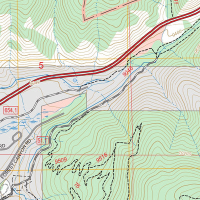 Dillon, CO FSTopo Preview 3