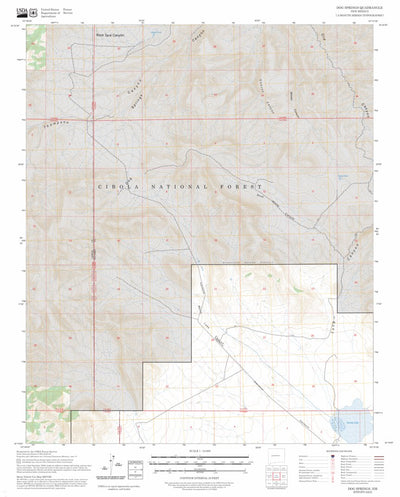 Dog Springs, NM FSTopo Preview 1
