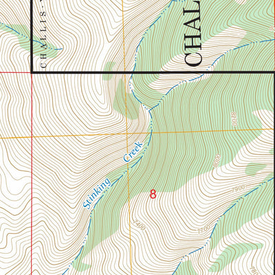 Donkey Hills NW, ID FSTopo Preview 3