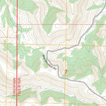 Dorsey Ranch, NM FSTopo Preview 2