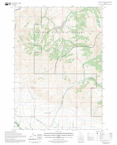 Ennis Gulch, ID FSTopo Preview 1