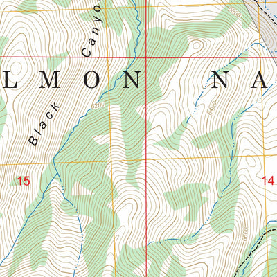 Ennis Gulch, ID FSTopo Preview 3