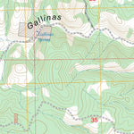 Gallinas Peak, NM FSTopo Preview 2