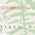 Gibbon, OR FSTopo Preview 2