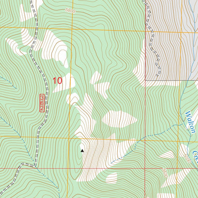 Grave Peak, ID FSTopo Preview 3