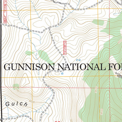Houston Gulch, CO FSTopo Preview 3