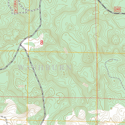 Iron Lake NE, WI FSTopo Preview 3