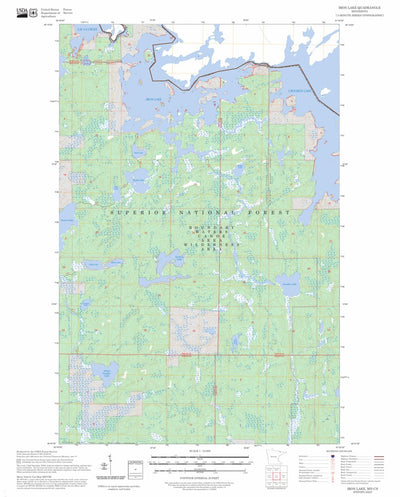 Iron Lake, MN-ON FSTopo Preview 1