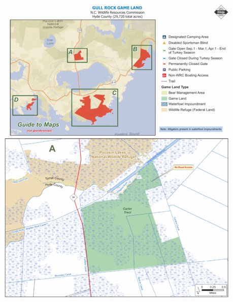 Gull Rock Game Land A overview Preview 1