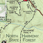 North Harmony and Whalen State Forests Preview 2