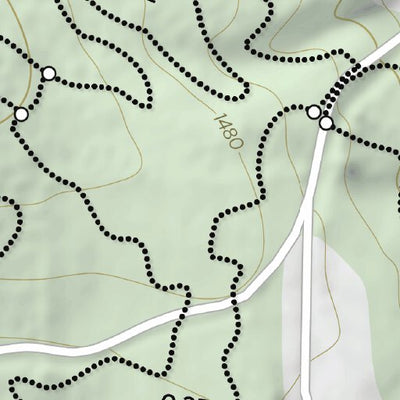 CHQ Trail at the Chautauqua Institution Preview 3