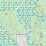 Juniper, MI FSTopo Preview 3