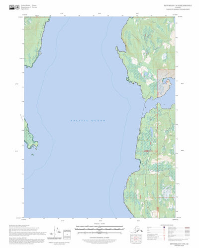 Ketchikan C-6 NE, AK FSTopo Preview 1