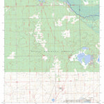 Lake Delancy, FL FSTopo Preview 1