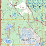 Lake Woodruff, FL FSTopo Preview 3