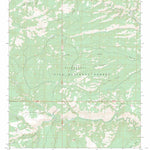 Lilley Mountain, NM FSTopo Preview 1