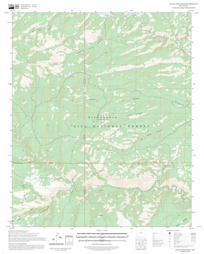 Lilley Mountain, NM FSTopo Preview 1