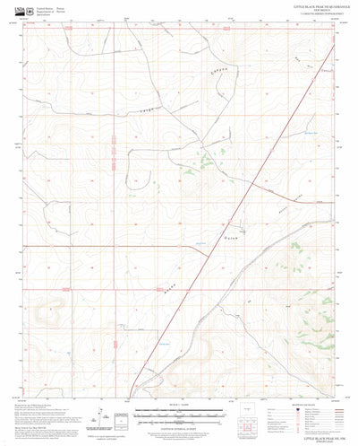 Little Black Peak NE, NM FSTopo Preview 1