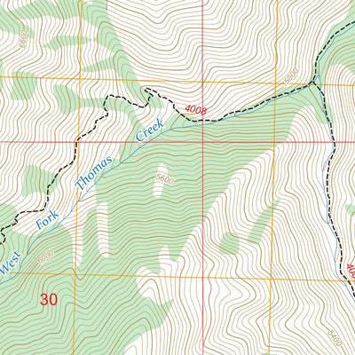 Little Soldier Mountain, ID FSTopo Preview 3